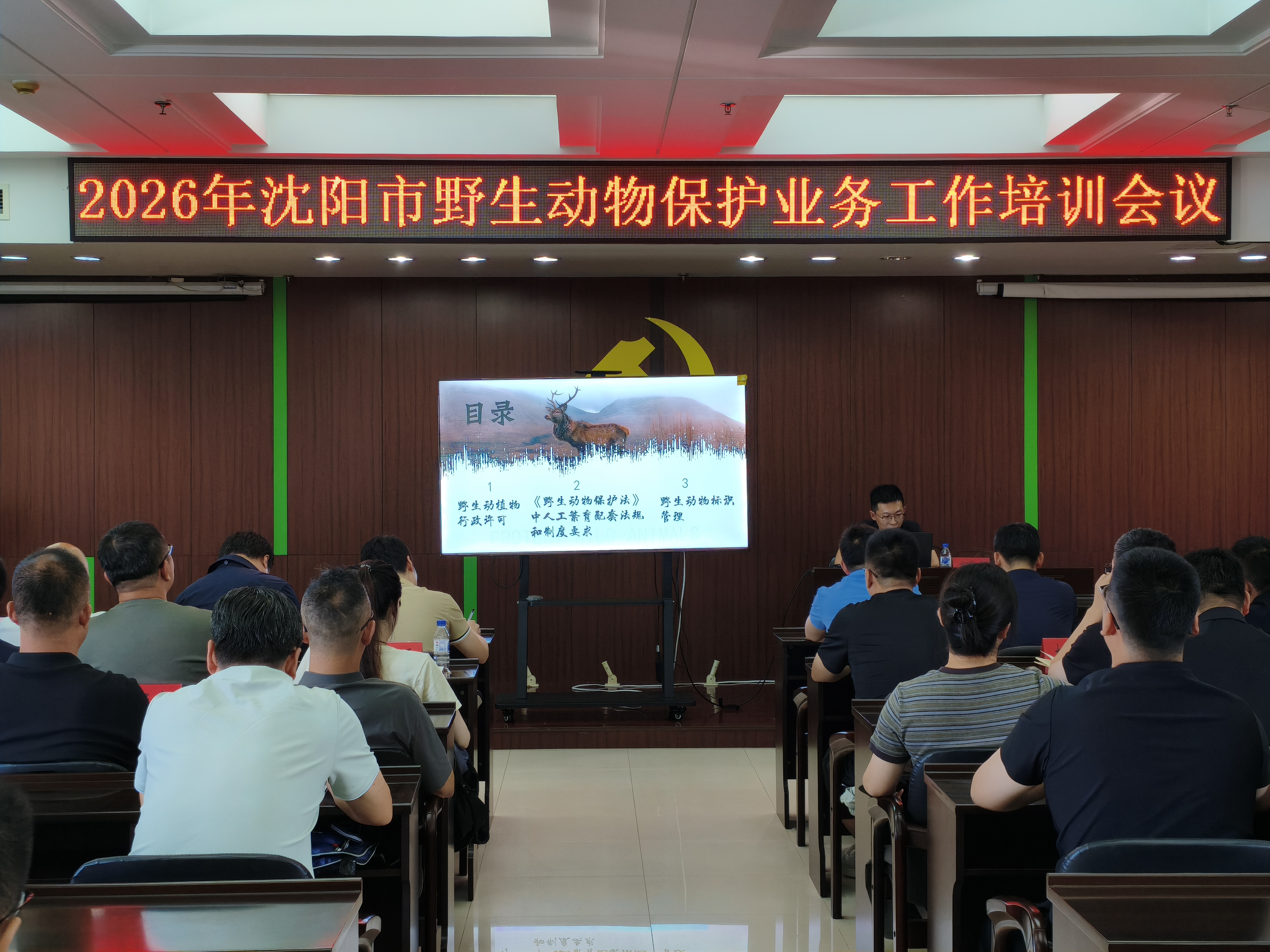 9b205c0c-8ef5-46e6-996b-ec95b0ff2124.jpg
